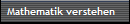 Mathematik verstehen