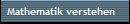Mathematik verstehen